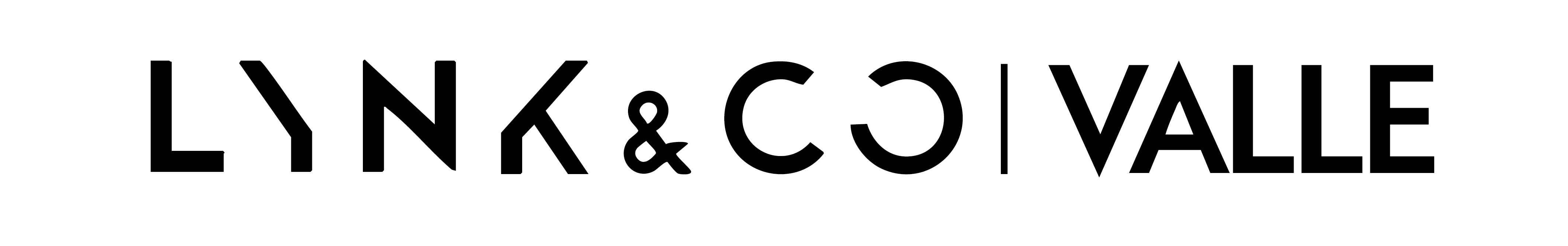 Link & Co